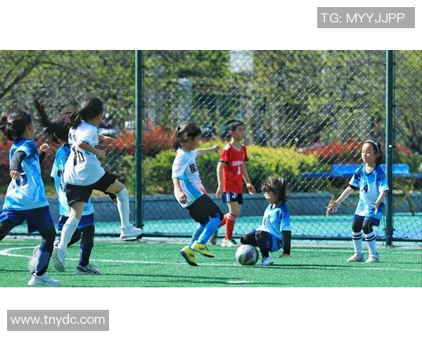 探索译点足球的魅力与影响力让我们一起感受足球文化的多元与激情