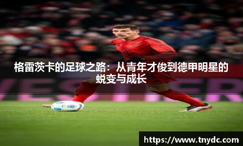 格雷茨卡的足球之路：从青年才俊到德甲明星的蜕变与成长